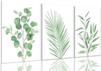 Bwodke Botanical Wall Art Plant Floral Watercolor Poster Canvas Prints Set of 3 by Bwodke