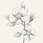 Framed Botanical Wall Art for Bathroom - Image 5