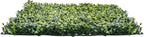 VEVOR Artificial Grass Wall Panels, 40 x 120 inch, Milan Grass Greenery Boxwood - Image 10
