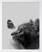 Poster Master Butterfly on Cat Print by PosterMaster