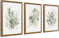 WRFON Framed Sage Green Botanical Wall Art Set of 3, Watercolor Eucalyptus & by Unknown
