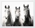 Poster Master Vintage Photograph Poster by PosterMaster