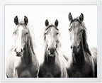 Poster Master Vintage Photograph Poster by PosterMaster
