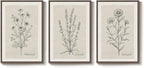 Framed Farmhouse Botanical Canvas Wall Art Set of 3, Large Vintage Neutral - Image 4