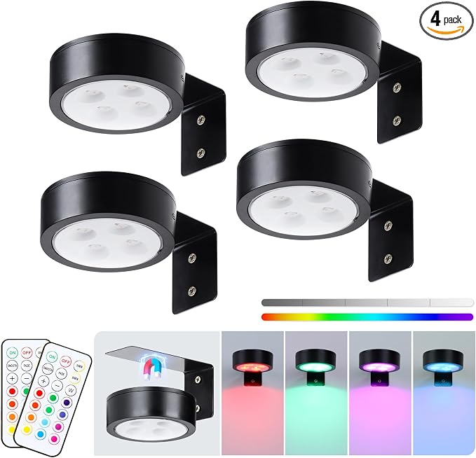 KELUOLY 4-Pack Wireless Battery Operated Painting Light by KELUOLY