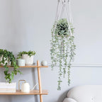 COCOBOO 2 Pcs Artificial Eucalyptus Plants Shelf Hanging Fake Plant in Pot - Image 7
