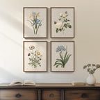 Framed Botanical Floral Wall Art, 4 Piece Vintage Flower Canvas Painting Prints by Cuspin