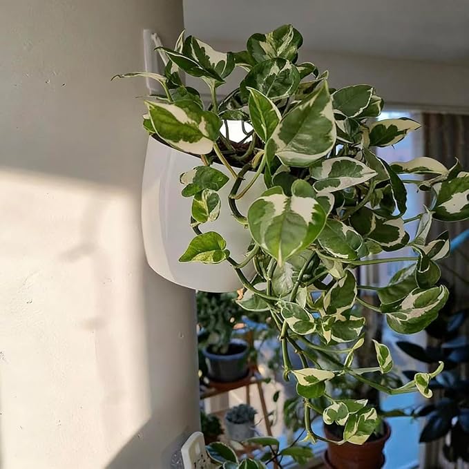6 Pack White Hanging Planter Pots Self Watering Vertical Garden Wall Mount - Image 2