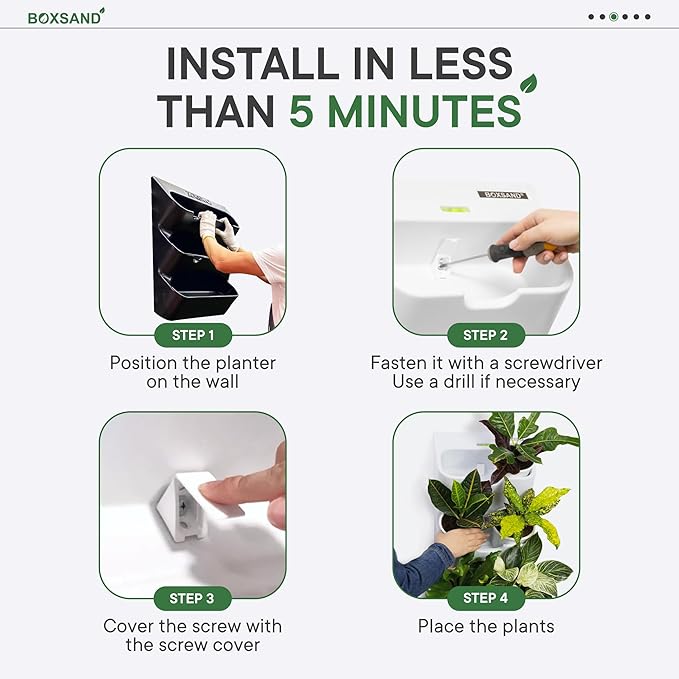 BOXSAND-12 Vertical Wall Planter - Image 7