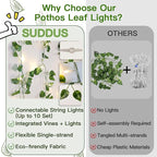 suddus Vine with Fairy Light Plug in, 33ft 100 LED Pothos String Lights - Image 5