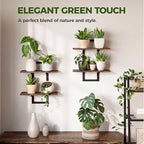 Bamworld Floating Shelves for Wall Planters for Indoor Plants Hanging Shelves - Image 4