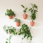 Make Good PlantPod Luxe by MakeGood