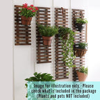ShopLaLa Wall Planter – 3 Pack Wooden Hanging Planter - Image 5