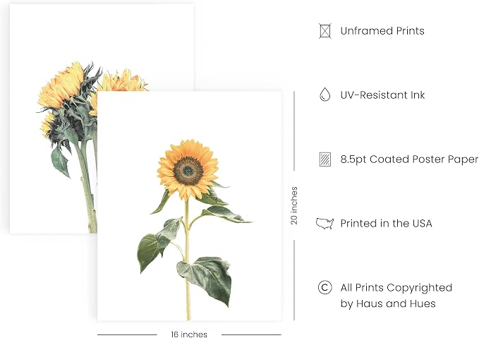 HAUS AND HUES Sunflower Set Collage 16x20 - Image 2