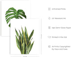 HAUS AND HUES Plant Photo Set of 4-11x14 - Image 2