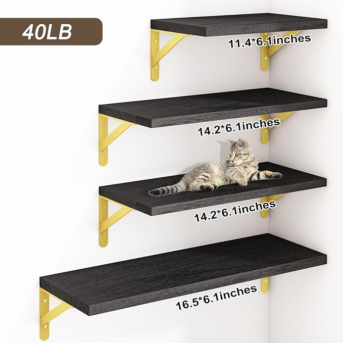 YGEOMER Floating Shelves for Wall, Different Sizes Black Wall Shelves for - Image 5