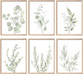 Botanical Plant Wall Art Boho Decor Prints Light Green Eucalyptus Leaf Picture by NCYEL