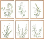 Botanical Plant Wall Art Boho Decor Prints Light Green Eucalyptus Leaf Picture by NCYEL
