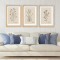 YWJKWLGS Vintage Botanical Wall Art 11x16 Inch Set of 3 Wooded Framed by Unknown