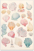 Pink Seashell Posters Coastal Cowgirl Canvas Wall Art Beach House Starfish by Unknown