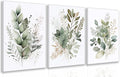 LLEEMPI Framed Sage Green Wall Art Set of 3, Modern Watercolor Botanical Wall by Unknown