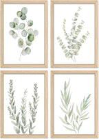 YWJKWLGS Botanical Watercolor Prints Sign Sage Green Eucalyptus Wall Decor by Unknown