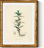 InSimSea Gold Bamboo Framed Canvas Wall Art, Vintage Kitchen Herbs Paintings by InSimSeaArt