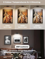 Skairipa Picture Light with Remote, 16in Battery Operated Picture Lights - Image 2