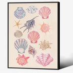 Pink Shell Posters Funky Coastal Cowgirl Wall Art Vintage Beach House by Unknown