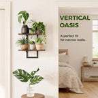 Bamworld Wall Planters for Indoor Plants Window Plant Shelves Vertical Plant - Image 3