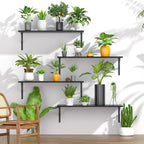 Deep Floating Shelves for Wall Set of 3, 24W x 12 Inch Deep Black Floating - Image 6