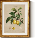 InSimSea Gold Bamboo Framed Canvas Wall Art, Retro Nature Plum Botanical by InSimSeaArt