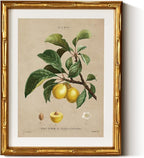 InSimSea Gold Bamboo Framed Canvas Wall Art, Retro Nature Plum Botanical by InSimSeaArt