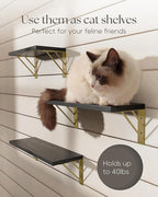 BAYKA Wall Shelves for Bedroom Decor, Floating Shelves for Living Room Kitchen - Image 7