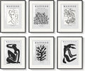 Framed Matisse Wall Art for Living Room, Abstract Aesthetic Pictures for Bedroom by Cuspin
