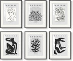 Framed Matisse Wall Art for Living Room, Abstract Aesthetic Pictures for Bedroom by Cuspin