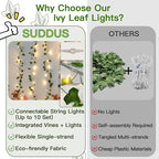 suddus Vine with Fairy Lights Plug in, 33ft 100 LED Ivy String Lights - Image 5
