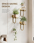 Bamworld Wall Plant Holder Wall Planters - Image 3