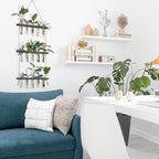 XXXFLOWER Wall Hanging Propagation Station - Image 9