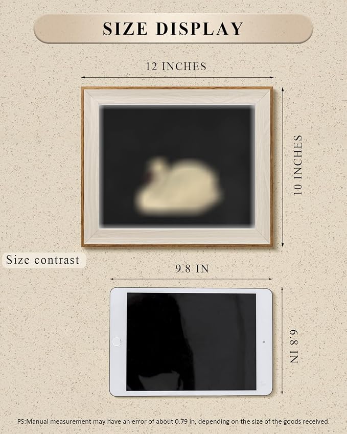 VIYYIEA Framed Canvas Wall Art XK1-BT-01, 10x12 Inch - Image 5
