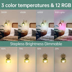 Shenmoyl Vintage Battery Operated Wall Sconce, 5000mAh Rechargeable Wall Light - Image 4