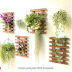ShopLaLa Wall Planters - Image 7