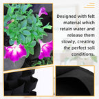 Hanging Planting Grow Bags, 25 Pockets Hanging Vertical Wall Planter Wall - Image 3