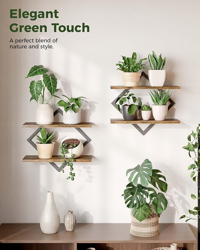 Bamworld Floating Shelves for Wall Planters for Indoor Plants Hanging Shelves - Image 6