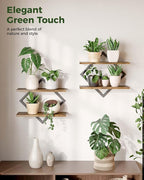 Bamworld Floating Shelves for Wall Planters for Indoor Plants Hanging Shelves - Image 6