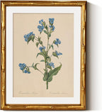 InSimSea Gold Bamboo Framed Canvas Wall Art, Retro Blue Myosotis Botanical by InSimSeaArt