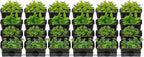 TFCFL 24 Pack Hanging Vertical Wall Planter, 12.99inch Wall Mounted Planter - Image 4