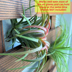 ShopLaLa Wall Planter - Image 4