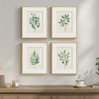 Framed Sage Green Botanical Wall by Cuspin