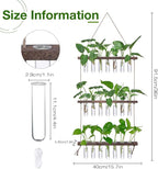 XXXFLOWER Wall Hanging Propagation Station - Image 2